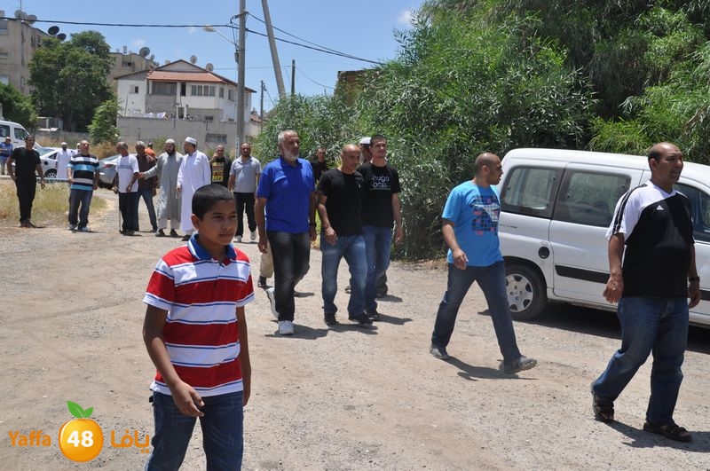 sol7desoqylud615 (52).JPG